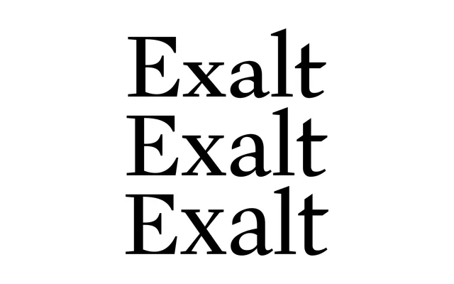 BC Exalt specimen from Briefcase Type Foundry