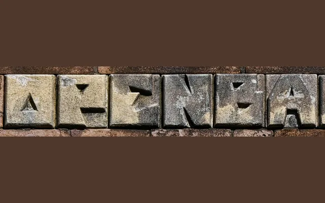 Kasimir specimen from Brutal Types