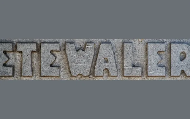 Kraai specimen from Brutal Types