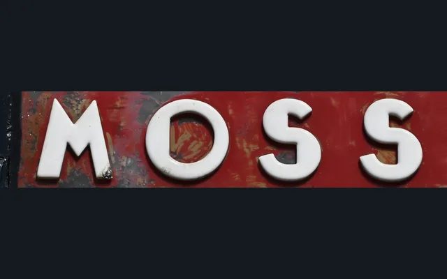 Mossel specimen from Brutal Types