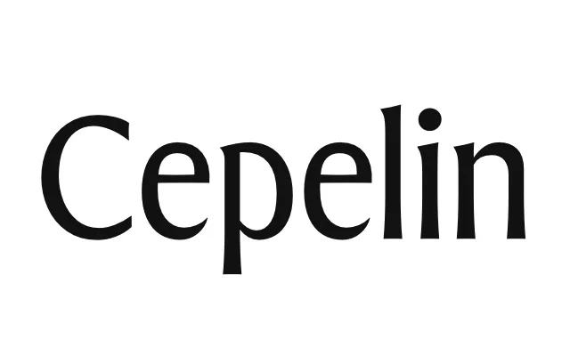 Cepelin specimen from Calderón