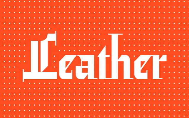 Leather specimen from Canada Type