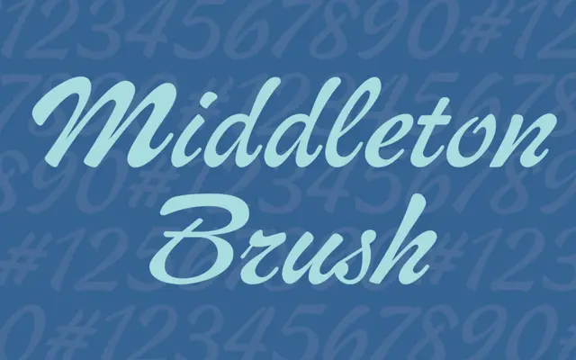 Middleton Brush specimen from Canada Type
