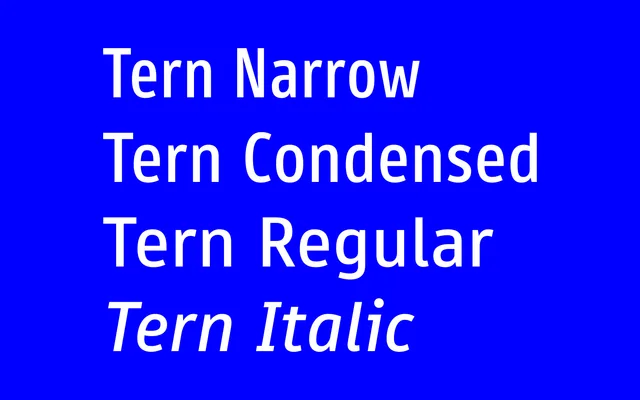 TERN specimen from Carrois Type Design