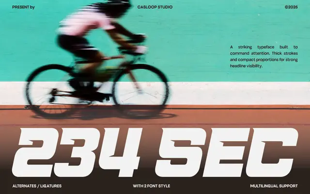 234 Sec specimen from Casloop Studio