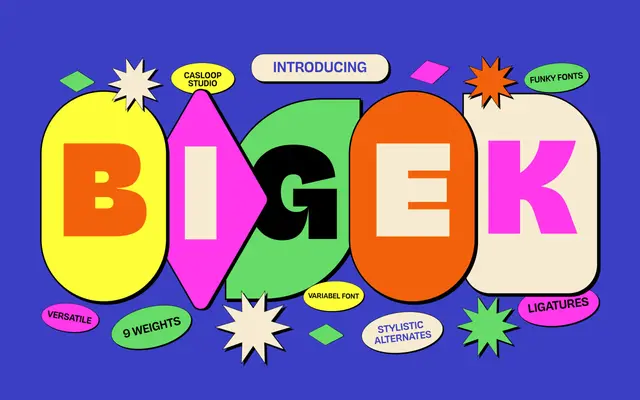 Bigek specimen from Casloop Studio