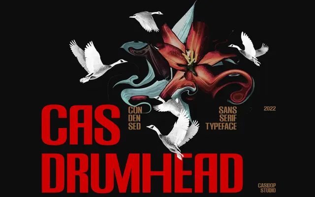 Cas Drumhead specimen from Casloop Studio