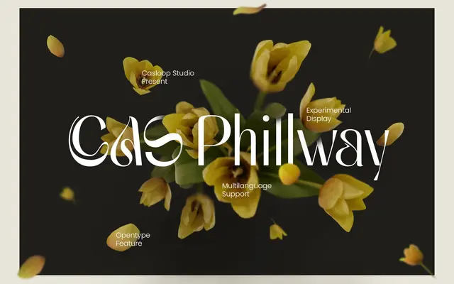 Cas Phillway specimen from Casloop Studio