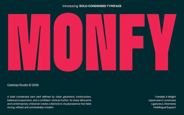 Monfy specimen from Casloop Studio