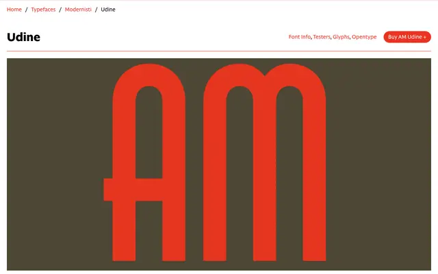 AM Udine specimen from CAST