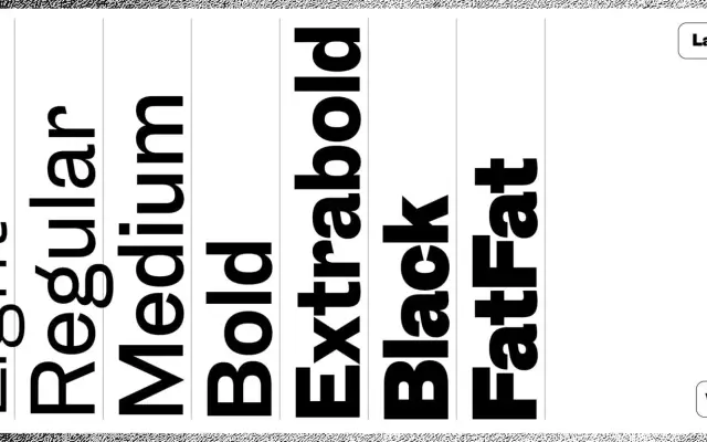 Lapidar specimen from Character Type