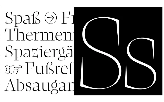 NewsSerif specimen from Character Type