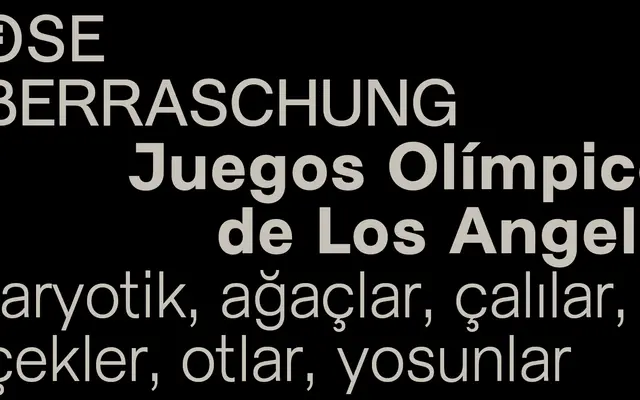 Marguerite Grotesk specimen from Charlotte Rohde