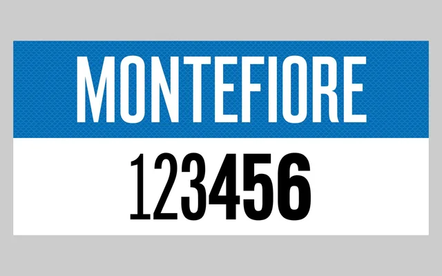 Montefiore specimen from Colophon