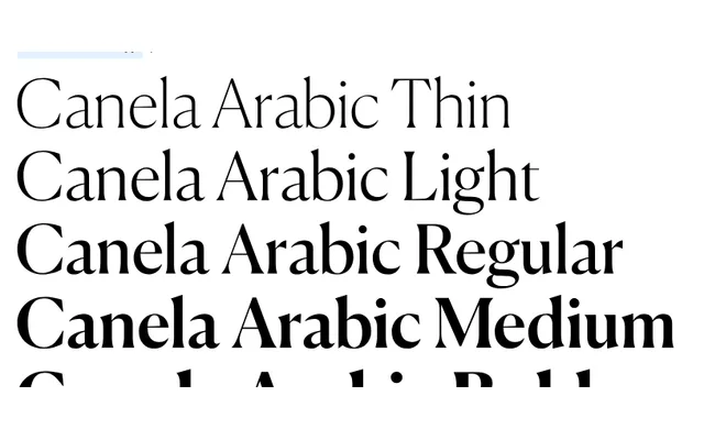 Canela Arabic specimen from Commercial Type