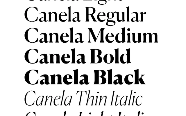 Canela specimen from Commercial Type