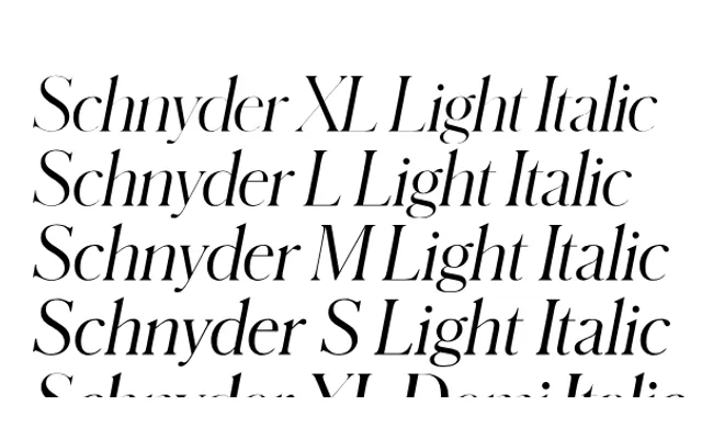 Schnyder specimen from Commercial Type