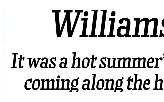 Williamson specimen from Commercial Type