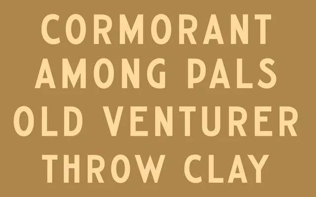 Damn Sans specimen from Damn Type Co