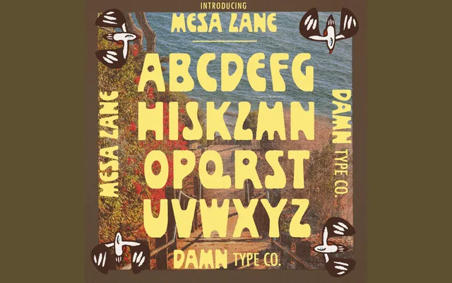 Mesa Lane specimen from Damn Type Co