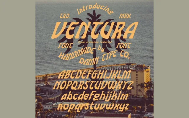 Ventura specimen from Damn Type Co
