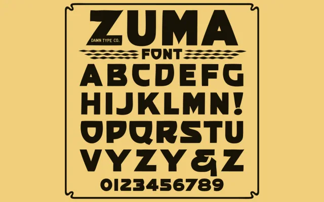 Damn Type Co