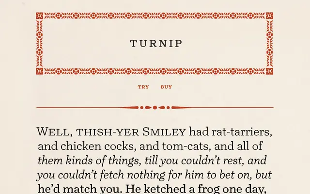 Turnip specimen from David Jonathan Ross