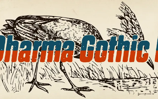 Dharma Gothic P specimen from Dharma Type