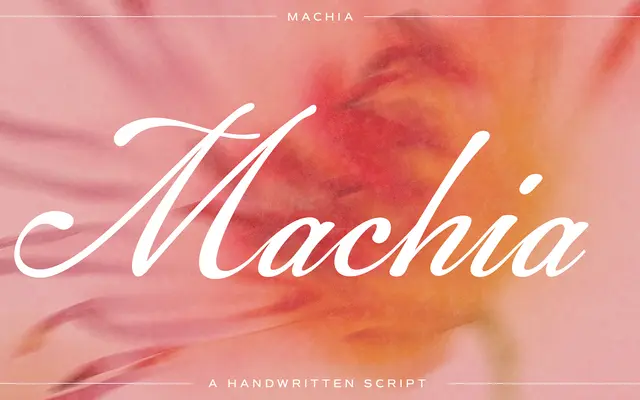 Machia specimen from Dharma Type