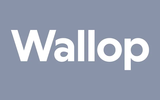 Wallop specimen from Displaay Type Foundry