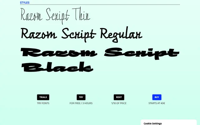 Razom Script specimen from DizajnDesign