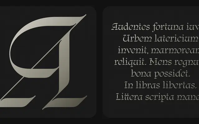 Regnio specimen from DK Type