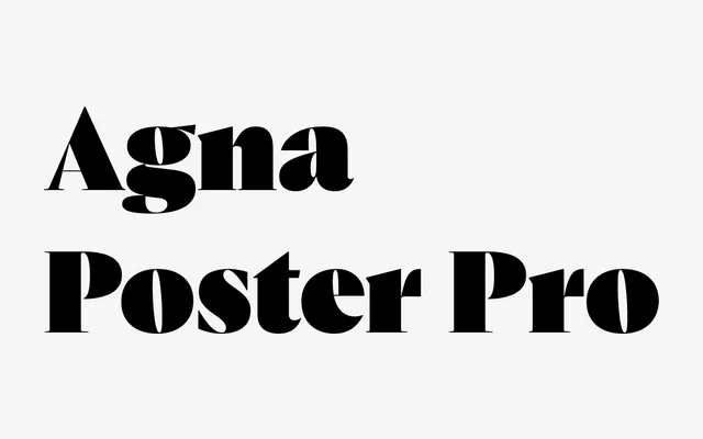 Agna Poster Pro specimen from DSType Foundry