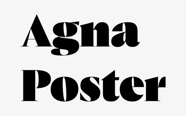 Agna Poster specimen from DSType Foundry