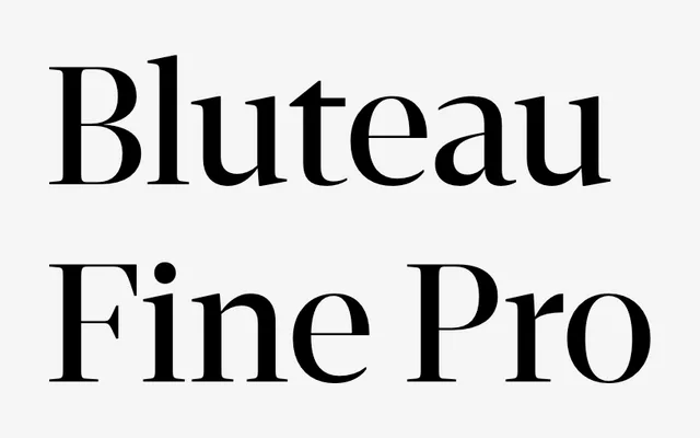 Bluteau Fine Pro specimen from DSType Foundry