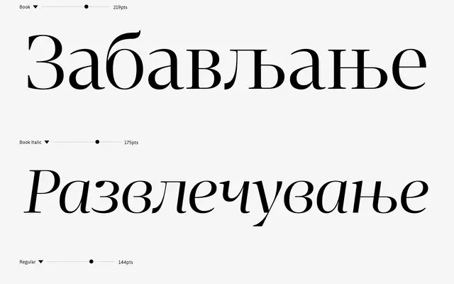 Bluteau Fine Pro specimen from DSType Foundry