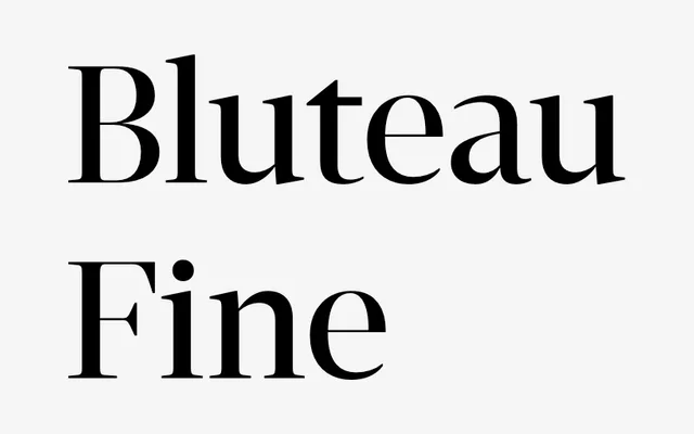 Bluteau Fine specimen from DSType Foundry