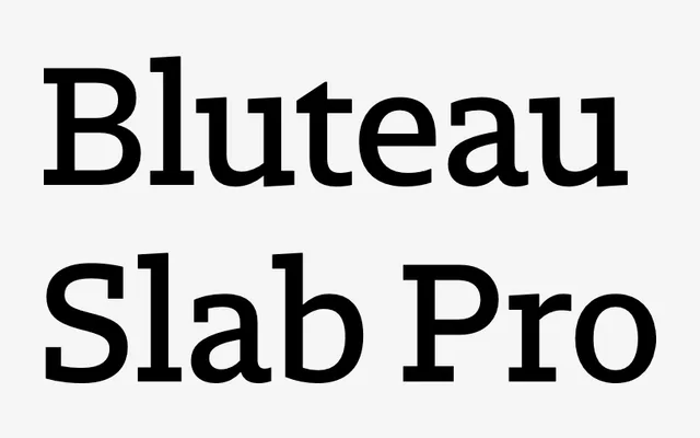 Bluteau Slab Pro specimen from DSType Foundry
