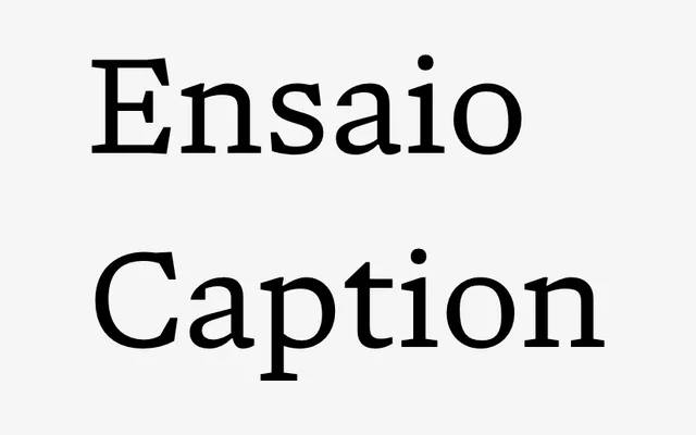 Ensaio Caption specimen from DSType Foundry