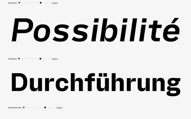 Fixo specimen from DSType Foundry