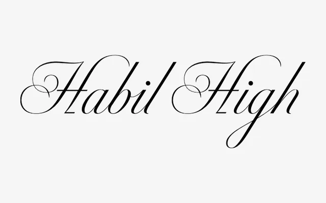 Habil High specimen from DSType Foundry