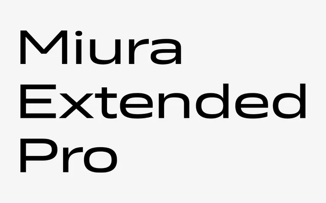 Miura Extended Pro specimen from DSType Foundry