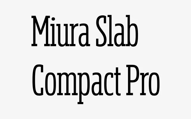 Miura Slab Compact Pro specimen from DSType Foundry
