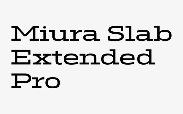 Miura Slab Extended Pro specimen from DSType Foundry