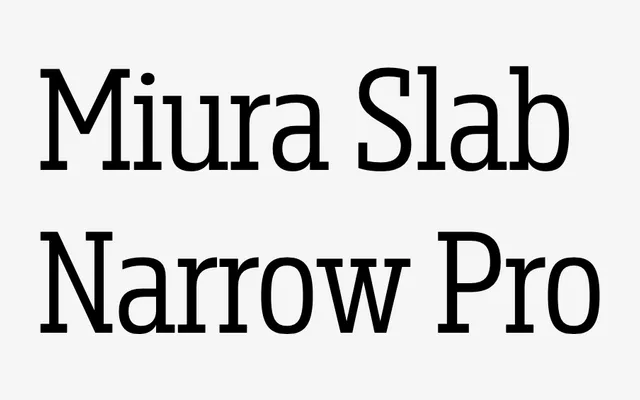 Miura Slab Narrow Pro specimen from DSType Foundry