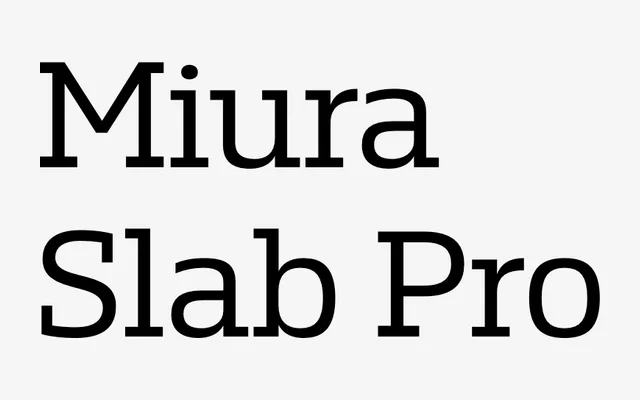Miura Slab Pro specimen from DSType Foundry