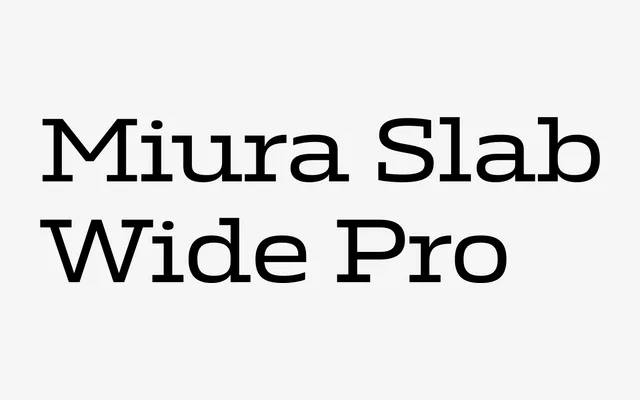 Miura Slab Wide Pro specimen from DSType Foundry