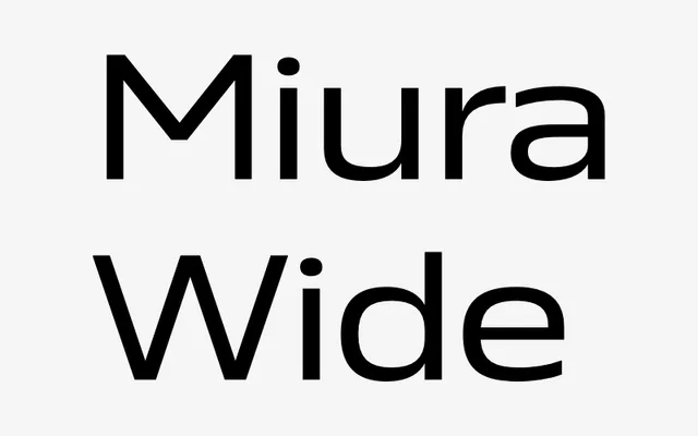 Miura Wide specimen from DSType Foundry