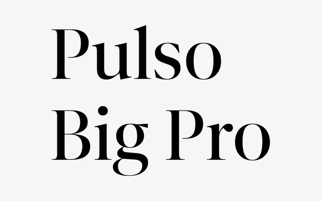 Pulso Big Pro specimen from DSType Foundry