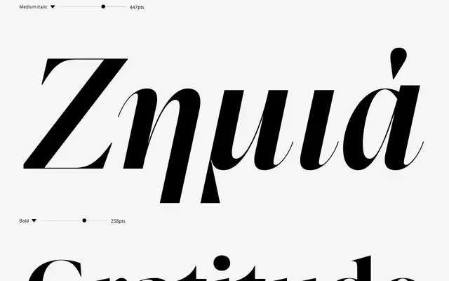 Pulso Big Pro specimen from DSType Foundry
